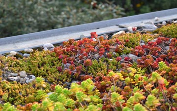 the cost of North Row green roof installation