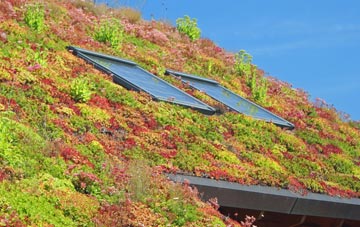 North Row living roof systems